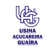 Design sem nome (8)